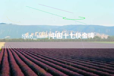 广水中国十七块金牌