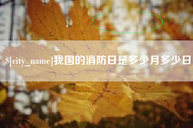 广水我国的消防日是多少月多少日