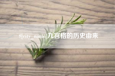 广水九宫格的历史由来