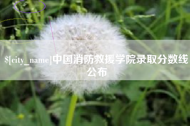 广水中国消防救援学院录取分数线公布
