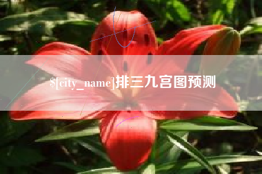 广水排三九宫图预测