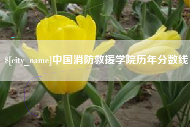 广水中国消防救援学院历年分数线