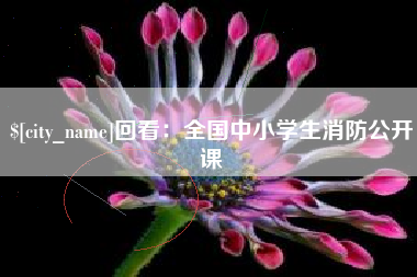 广水回看：全国中小学生消防公开课