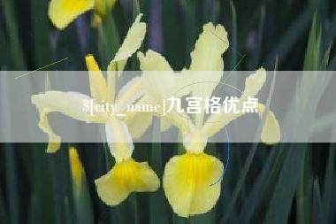 广水九宫格优点