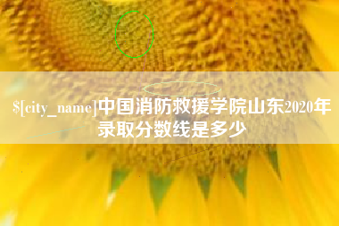 广水中国消防救援学院山东2020年录取分数线是多少