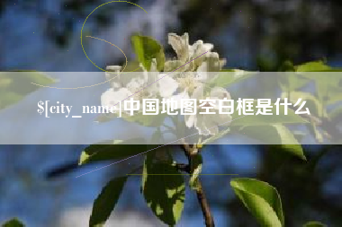 广水中国地图空白框是什么