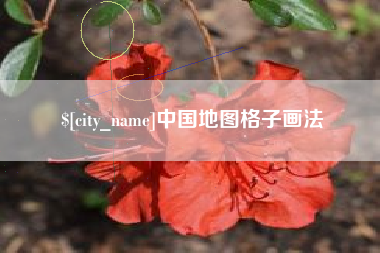 广水中国地图格子画法