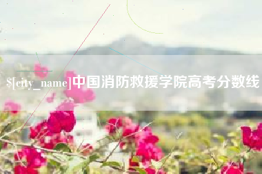 广水中国消防救援学院高考分数线