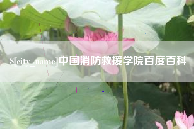 广水中国消防救援学院百度百科