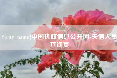 广水中国执政信息公开网-失信人员查询页