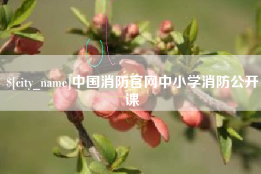 广水中国消防官网中小学消防公开课