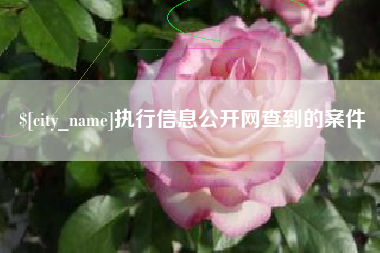 广水执行信息公开网查到的案件