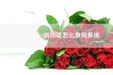 广水消防证怎么查询系统