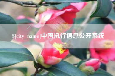 广水中国执行信息公开系统
