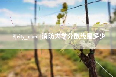 广水消防大学分数线是多少