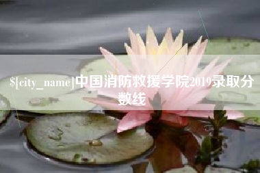 广水中国消防救援学院2019录取分数线