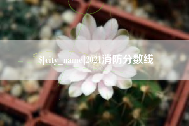 广水2021消防分数线
