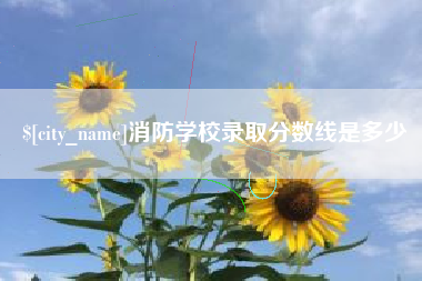 广水消防学校录取分数线是多少