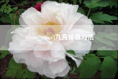 广水九宫排盘方法