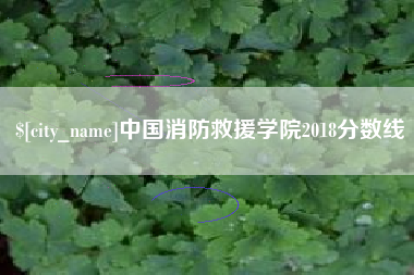 广水中国消防救援学院2018分数线