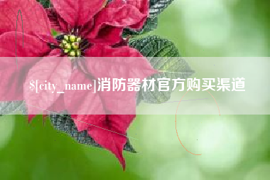 广水消防器材官方购买渠道