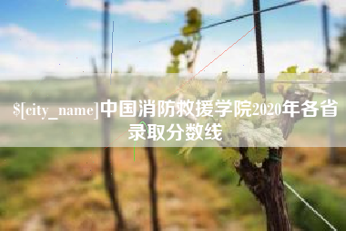 广水中国消防救援学院2020年各省录取分数线