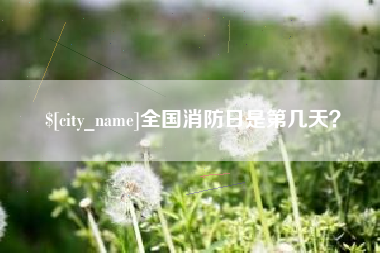 广水全国消防日是第几天？