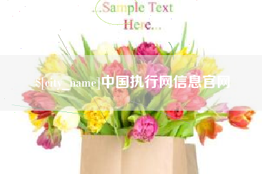 广水中国执行网信息官网