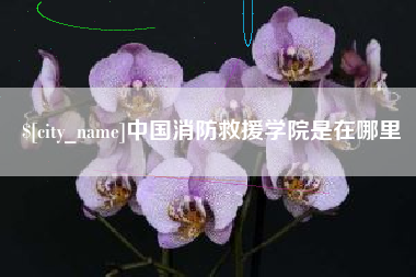 广水中国消防救援学院是在哪里