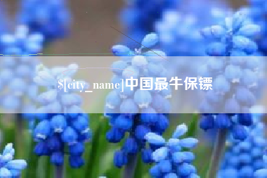 广水中国最牛保镖