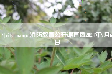 广水消防教育公开课直播2024年9月6日