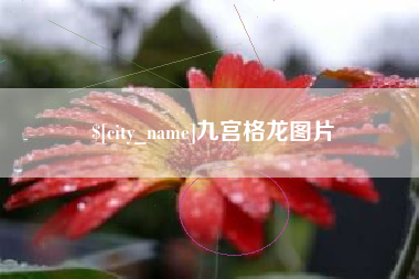 广水九宫格龙图片