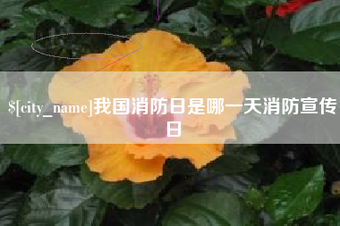 广水我国消防日是哪一天消防宣传日