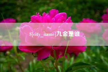 广水九金是谁