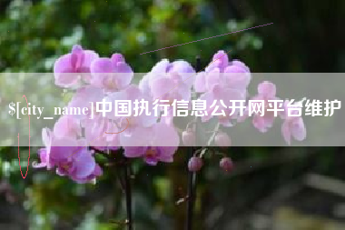 广水中国执行信息公开网平台维护