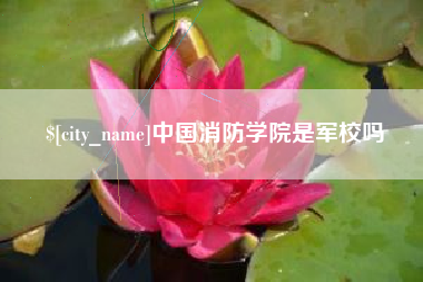 广水中国消防学院是军校吗