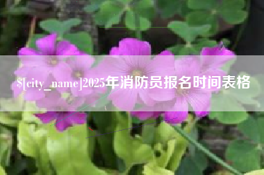 广水2025年消防员报名时间表格