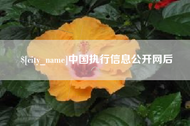 广水中国执行信息公开网后
