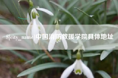 广水中国消防救援学院具体地址