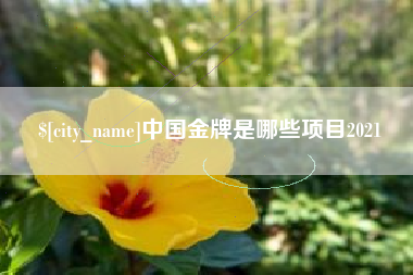 广水中国金牌是哪些项目2021