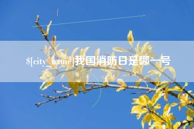 广水我国消防日是哪一号