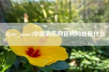 广水中国消防网官网网址是什么