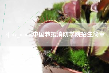 广水中国救援消防学院招生简章