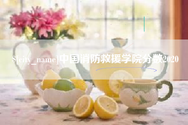 广水中国消防救援学院分数2020