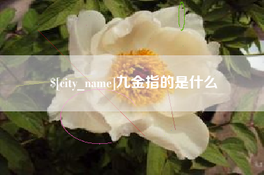 广水九金指的是什么