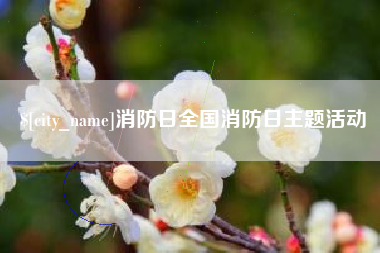 广水消防日全国消防日主题活动