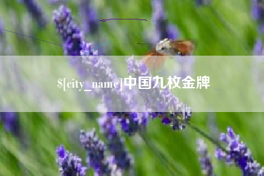 广水中国九枚金牌