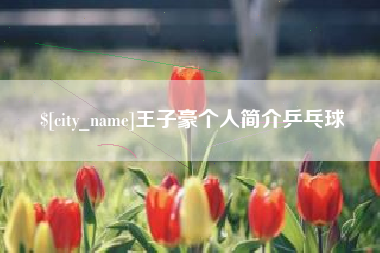 广水王子豪个人简介乒乓球
