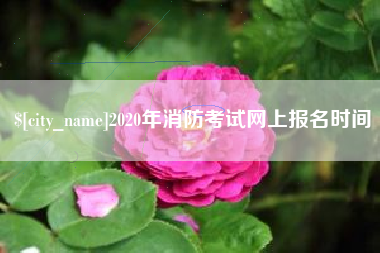 广水2020年消防考试网上报名时间