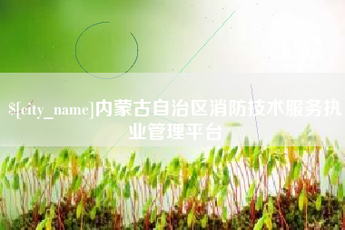广水内蒙古自治区消防技术服务执业管理平台